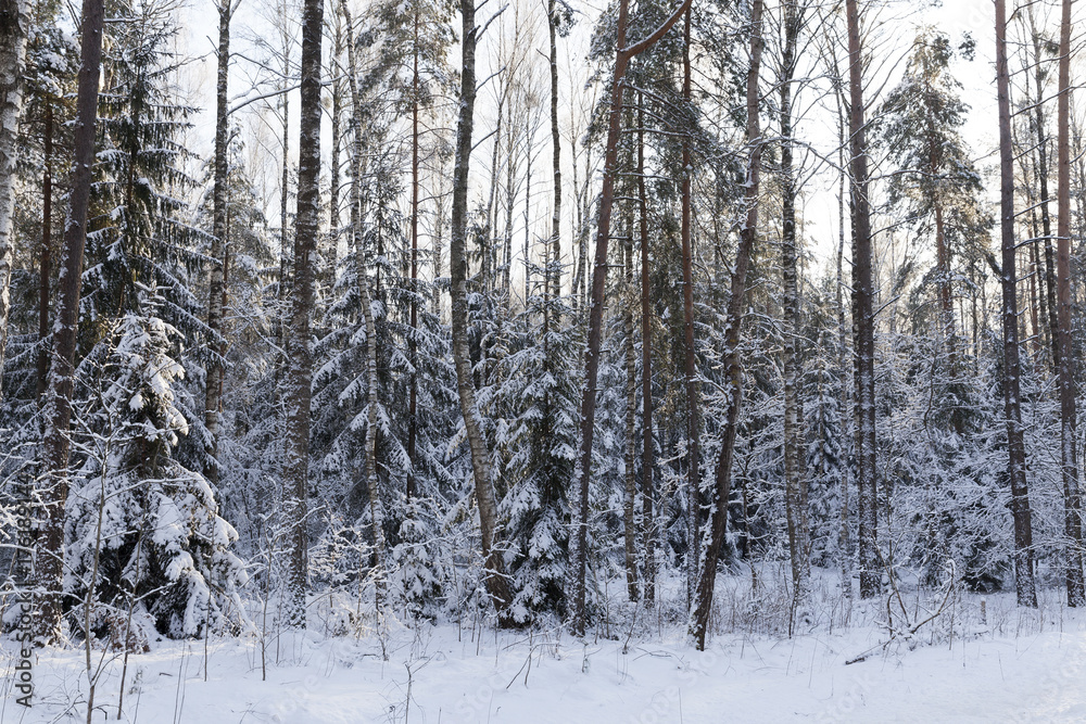 Snow drifts in winter Snow drifts in winter