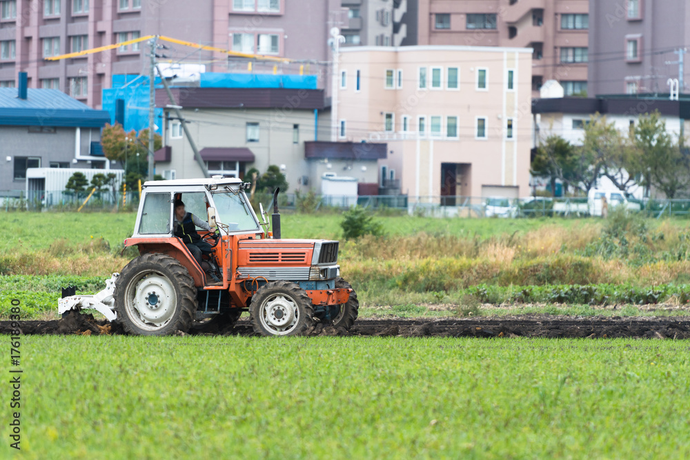 Fototapeta premium 市街地で農業を営む兼業農家