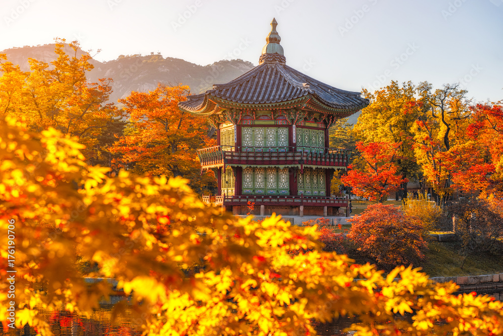 Gyeongbokgung Palace With maple leaves in the fall colors, Seoul, South Korea Gyeongbokgung Palace With maple leaves in the fall colors, Seoul, South Korea
