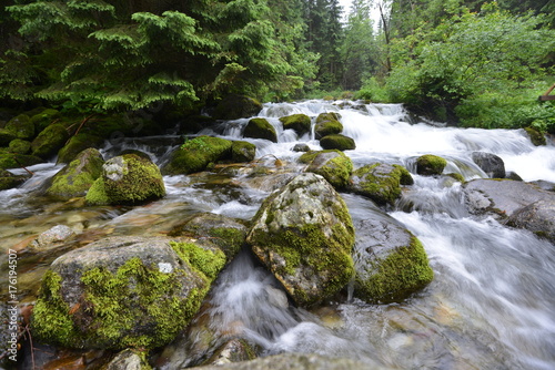 creek in mountain