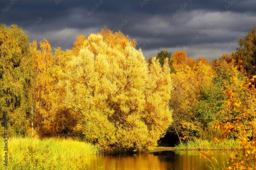 Bright photo of autumn trees and a pond