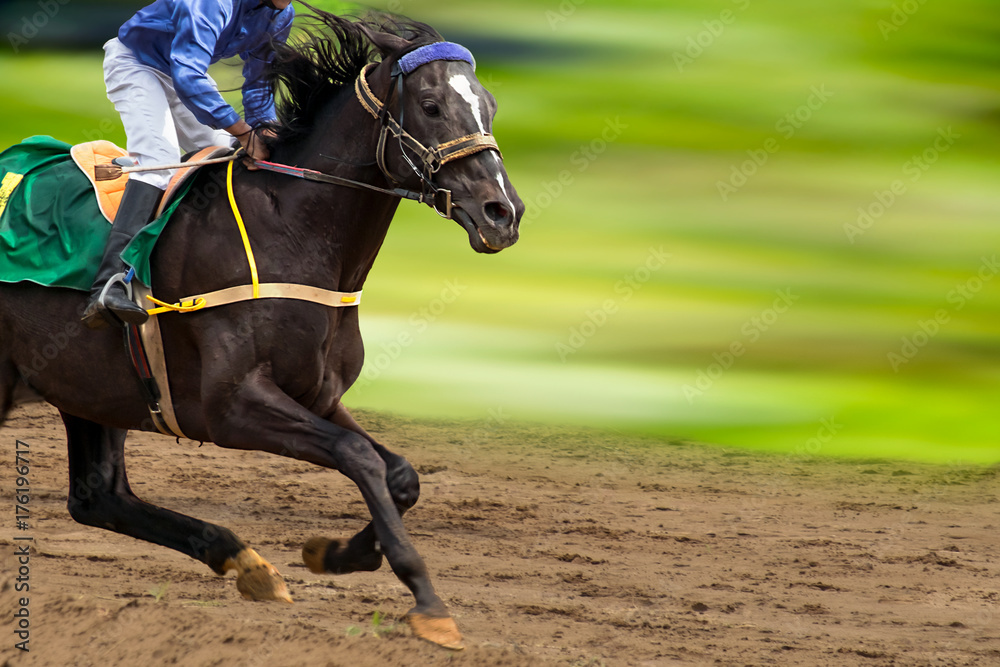Obraz premium Koń wyścigowy w biegu. Koń z dżokejem biegnie wzdłuż toru wyścigowego