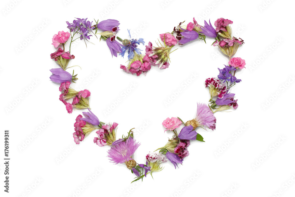 background for greeting card for Valentine's Day with space for text. figure in form  from Pink and purple flowers of heart isolated on white background. heart shaped figure  with flower petals