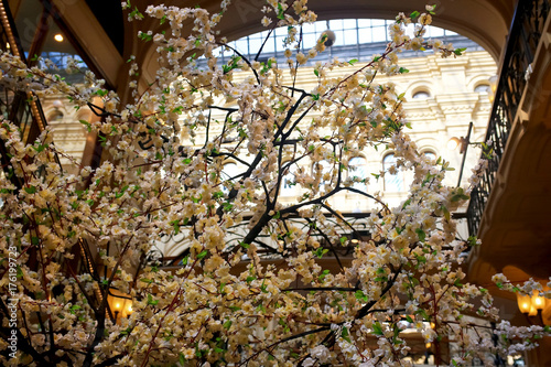 Blossoming trees in the mall