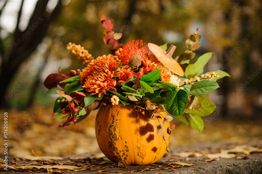 Pumpkin with a lovely autumn flower composition - obrazy, fototapety, plakaty 