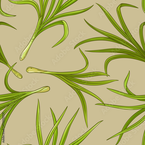 lemongrass vector pattern