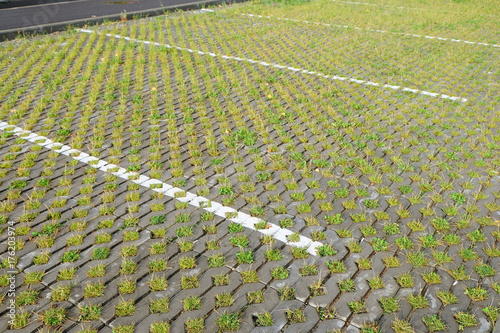 eco car Parking in a public place. grass paver.