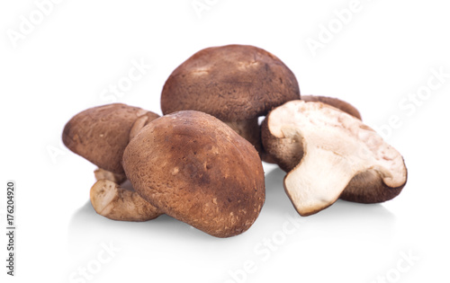 Fresh mushrooms isolated on white.