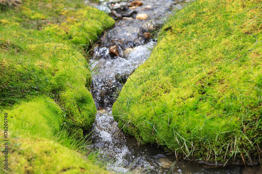 Stream from glacier in summer, Pakistan Stream from glacier in summer, Pakistan