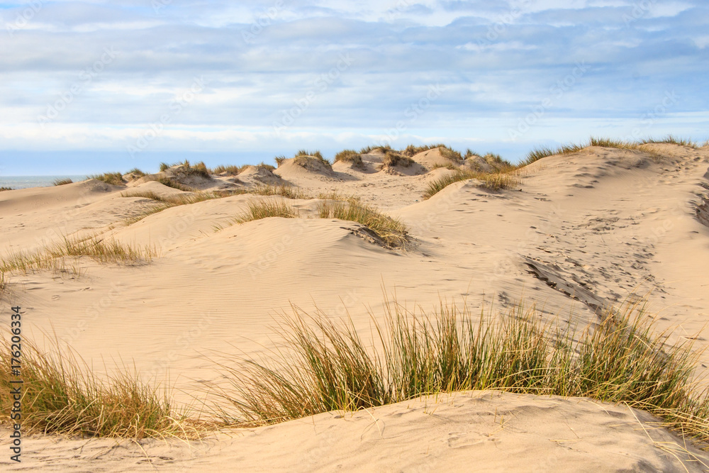 Formby Sand Dunes
