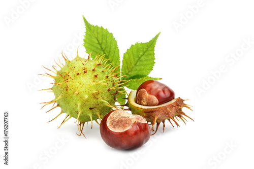 Chestnuts with leaves on white background. An isolated object.
