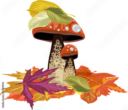 mushrooms and autumn leaves