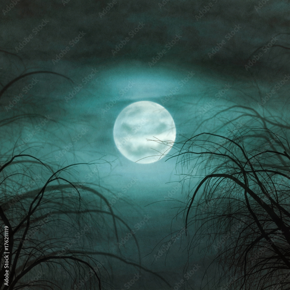 Naklejka Księżyc z twarzą na zachmurzonym niebie z drzewami na pierwszym planie, obraz z teksturą