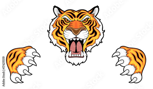 Fotografia Tiger head and claws