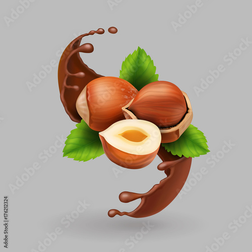 Hazelnut and chocolate realistic splash. vector illustration