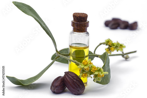 Jojoba (Simmondsia chinensis) oil, leaves, flower and seeds on White background