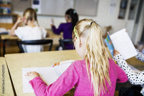 Girls (8-9) learning in classroom photo