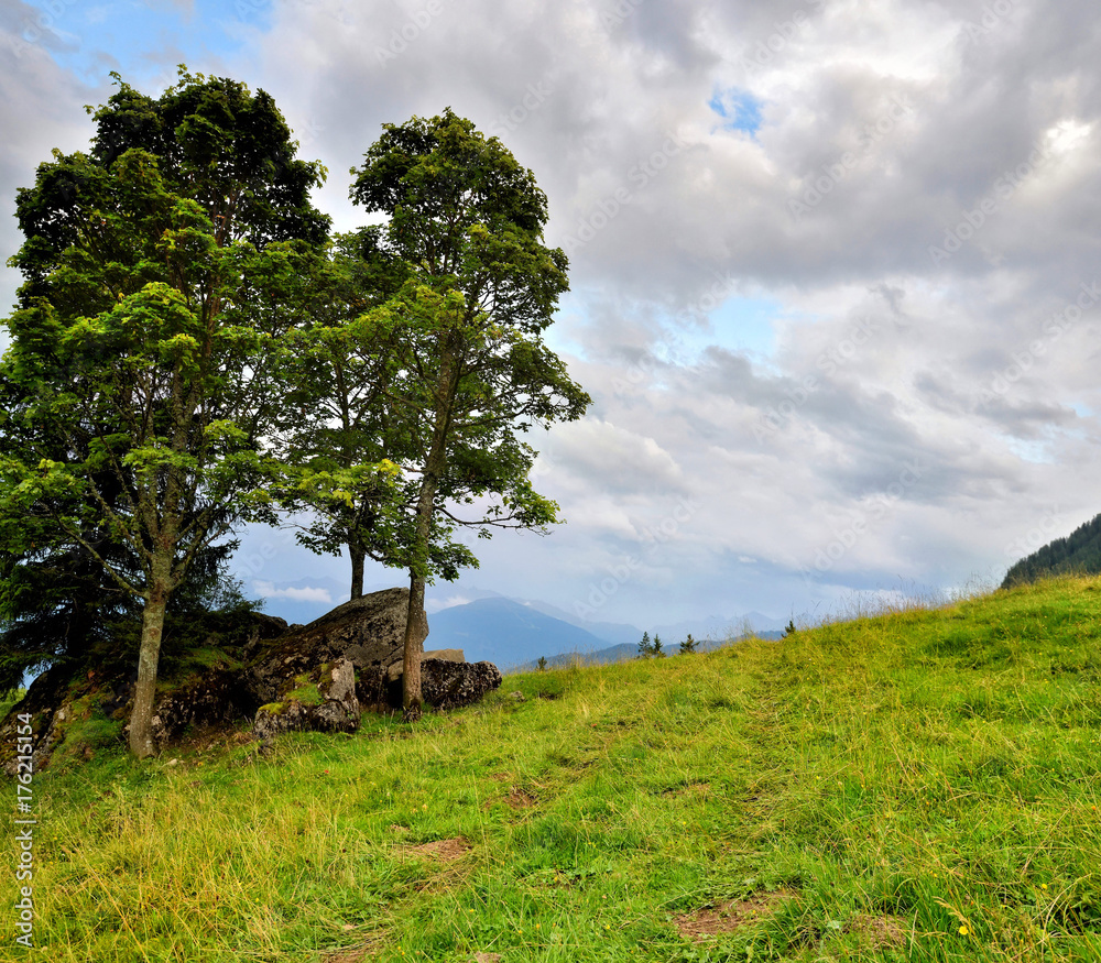 Beautiful summer mountain landscape Beautiful summer mountain landscape