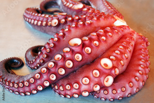 Fresh octopus at Valencian market