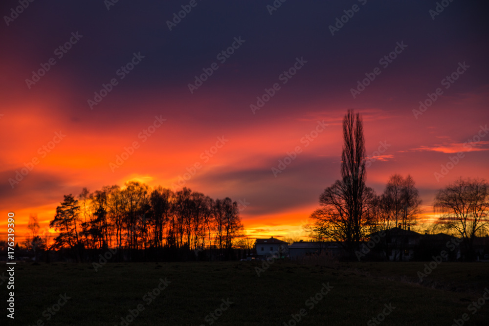 Purple and orange Sunset behind Trees, Germany, Europe Purple and orange Sunset behind Trees, Germany, Europe