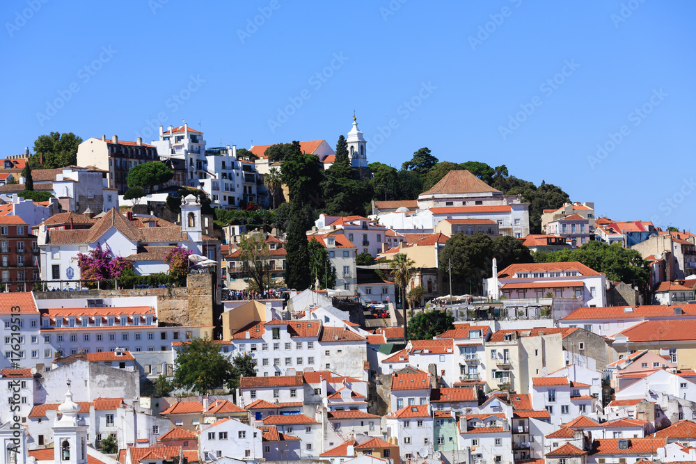 Lisbon Trees and Red Tile Roofs