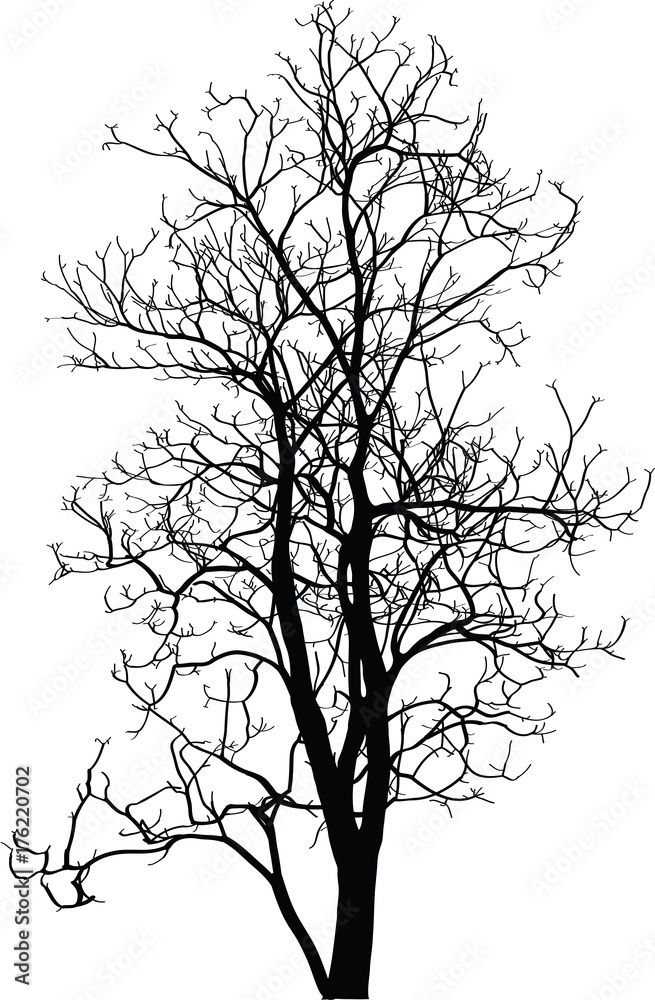 Dead Tree without Leaves Vector Illustration Sketched, EPS 10.