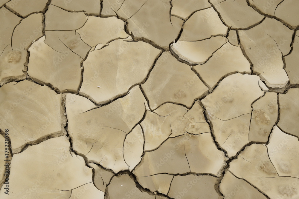 Obraz premium Grieta suelo seco