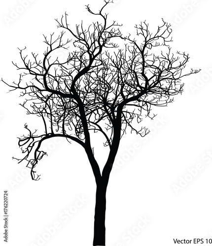 Dead Tree without Leaves Vector Illustration Sketched, EPS 10.