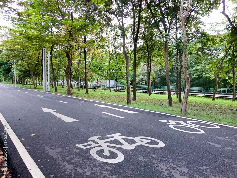 Obraz premium Bike lanes in the park