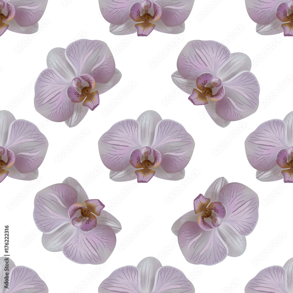 Tender orchid flower seamless pattern. Orchid blooms isolated on white background