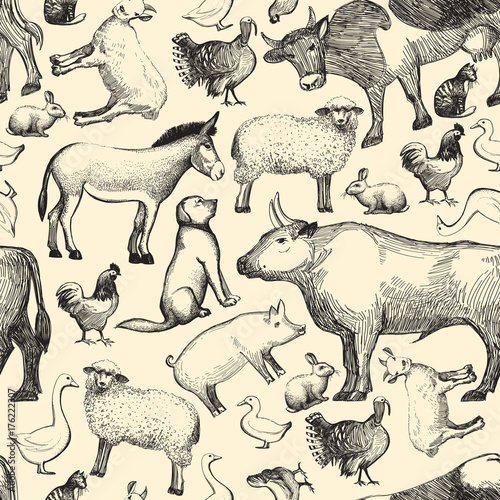 Fototapeta Naklejka Na Ścianę i Meble -  Farm animals doodle seamless pattern template for menu design restaurant or cafe