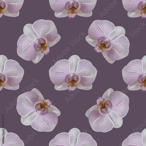 Tender orchid flower seamless pattern on purp background