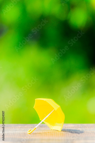 黄色い傘と緑ぼかし背景