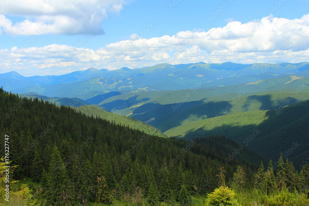 Fototapeta premium landscape