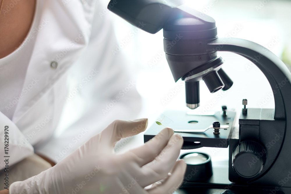 Young scientist using a microscope Young scientist using a microscope