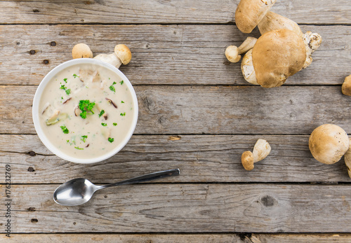 Fresh made Porcini Soup on a rustic background