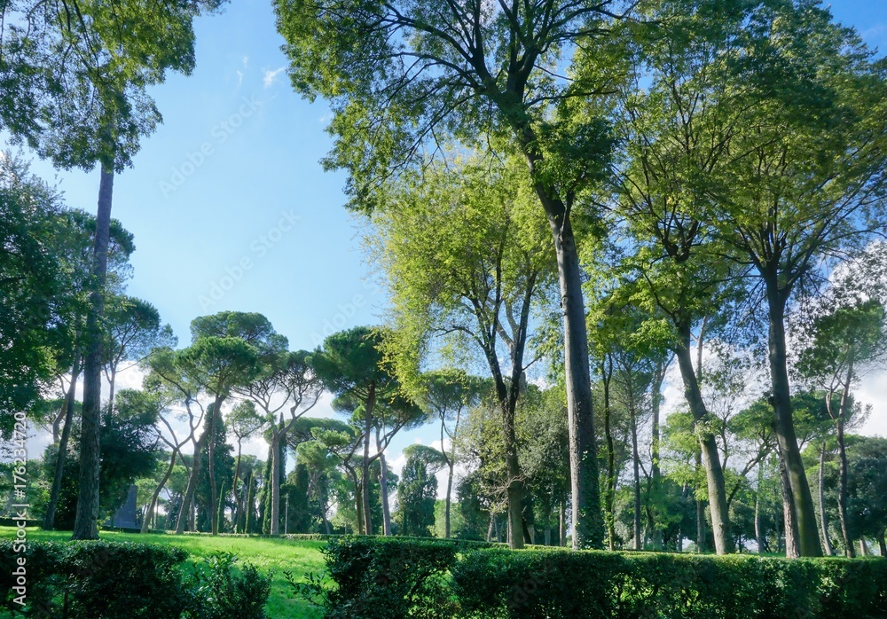 Park at the Villa Borghese
