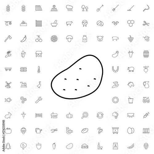 Potato icon. set of outline agriculture icons.
