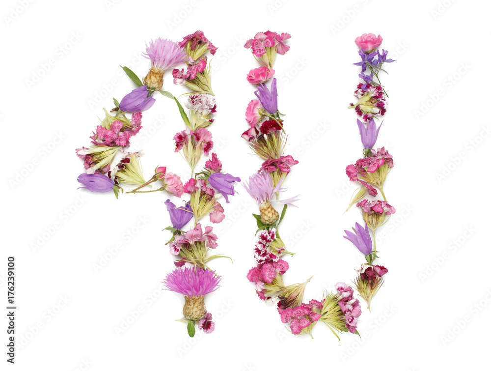 word 4U isolated on white background
Word for you lined with flower petals
Pink and purple flowers
Flower petals in the pink range
feelings and emotions
for you word 4U isolated on white background
Word for you lined with flower petals
Pink and purple flowers
Flower petals in the pink range
feelings and emotions
for you