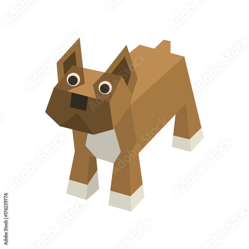 Vector isometric boxer