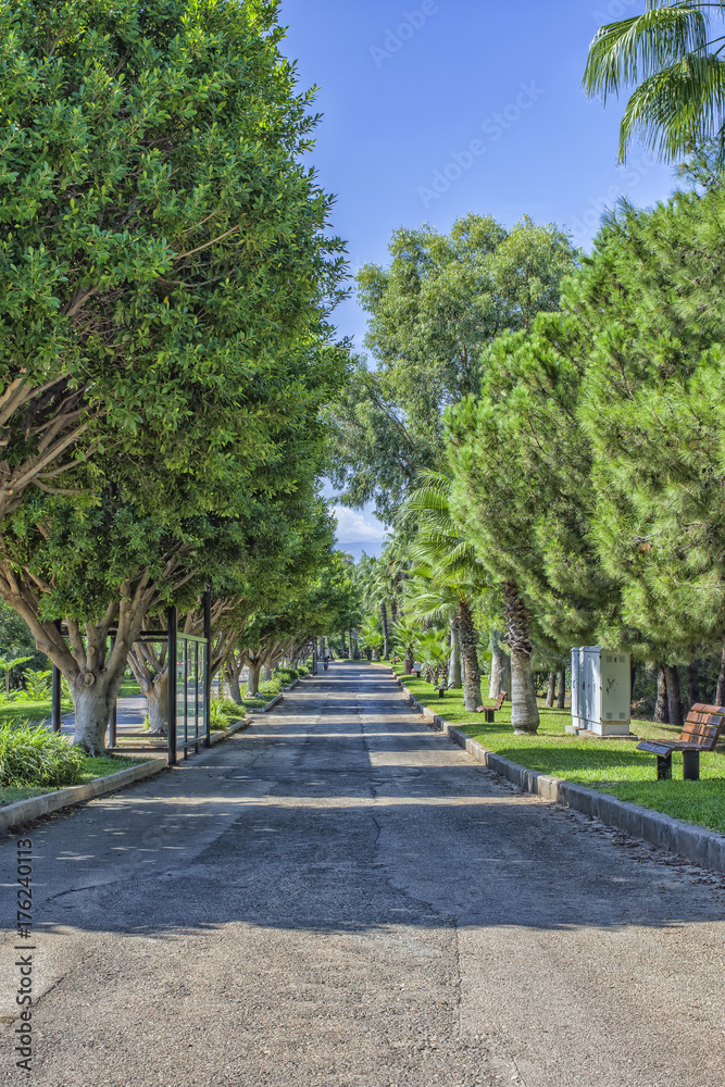 Road among green trees in the Beach park. Antalya, Turkey