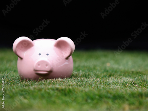 Piggy bank on grass