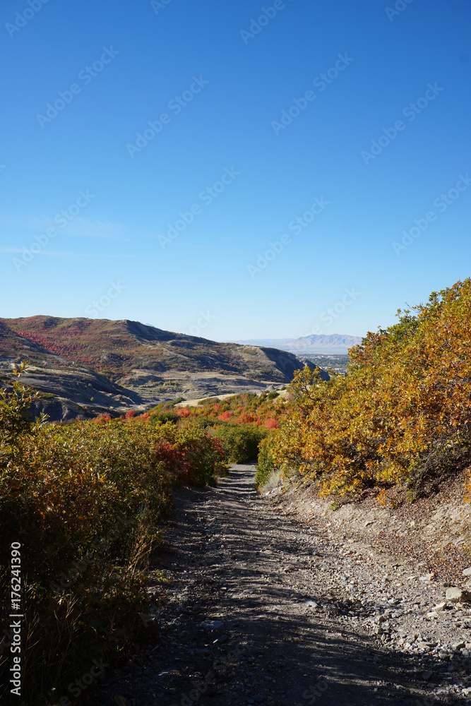Utah Mountains Blue Sky Autumn Trail 01