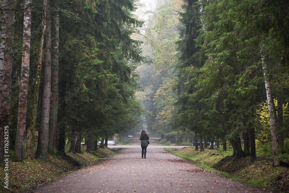 Girl walk in forest alone. 