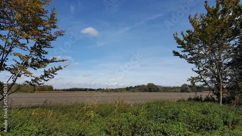 Wolkige Landschaft