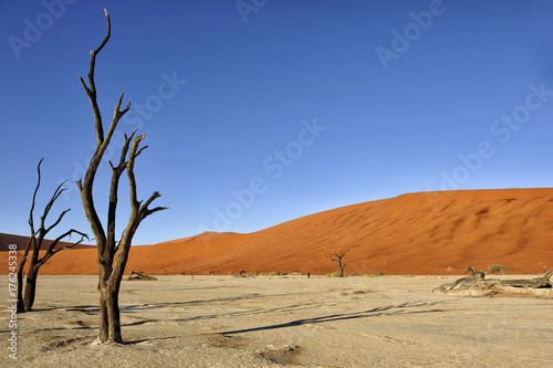 Deadvlei