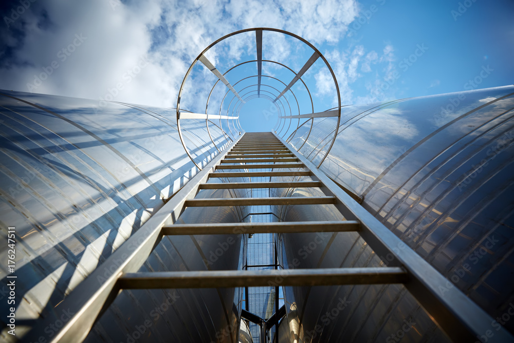 Fototapeta premium wine industry