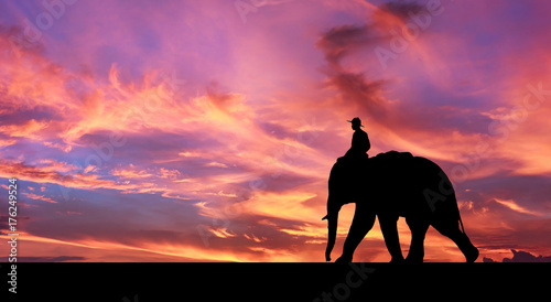 Mahout ride elephant.