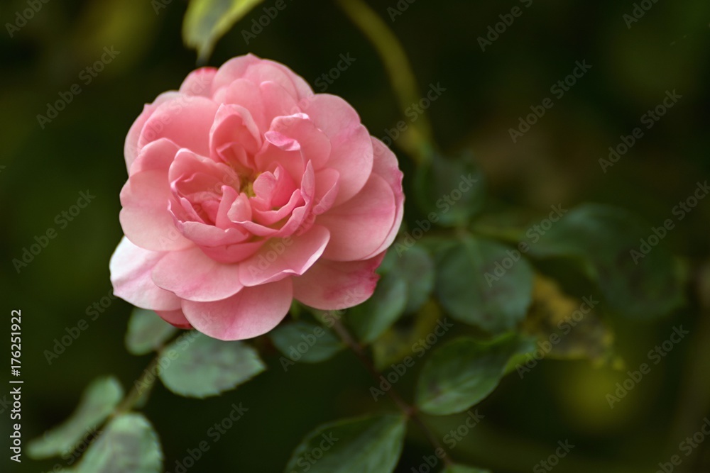 warm autumn colors in October