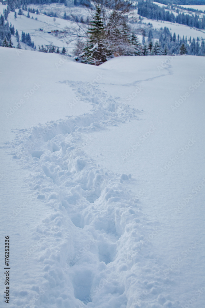 footprints in the snow. Beautiful view. winter season